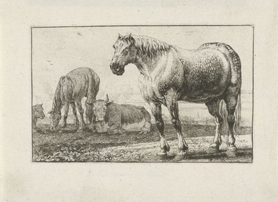Paarden en koeien door Jan van den Hecke
