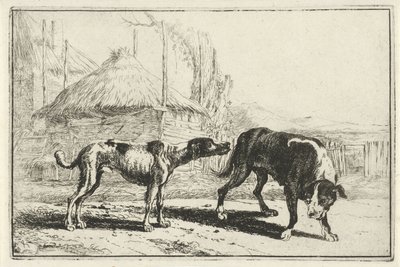 Reu en teef door Jan van den Hecke