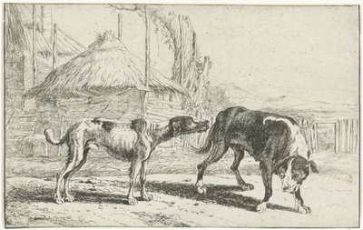 Reu en teef door Jan van den Hecke