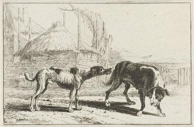 Reu en teef door Jan van den Hecke