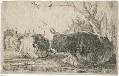 Rustende koeien door Jan van den Hecke