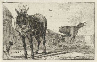 Twee ezels door Jan van den Hecke