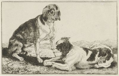 Twee rustende honden door Jan van den Hecke