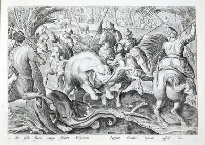 Olifanten maken veel lawaai als ze worden geraakt door speren van jagers, illustratie uit 