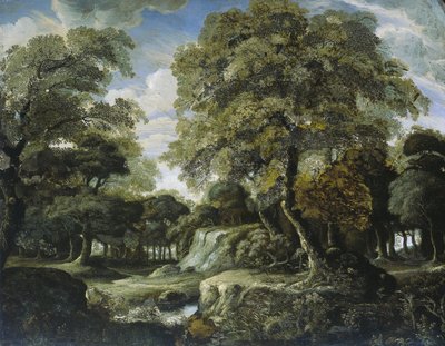 Gezicht in het bos door Jan van der Heyden
