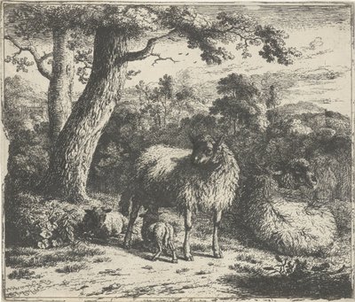 Staand schaap met twee lammeren door Jan van der Meer (II)
