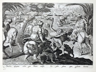 Moren te paard jagen op struisvogels, plaat 62, illustratie uit 
