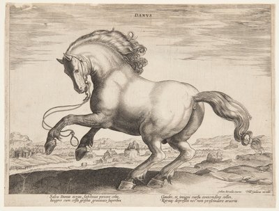 Een Deens paard, uit de vierde set van "Equile Joannis Austriaci" door Jan van der Straet, called Stradanus