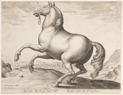 Een Frans Paard, uit de eerste set van "Equile Joannis Austriaci" door Jan van der Straet, called Stradanus