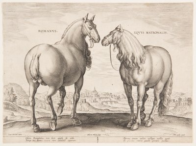 Een Romeins Paard, uit de eerste set van "Equile Joannis Austriaci" door Jan van der Straet, called Stradanus