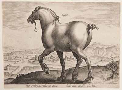 Een Saksisch paard, uit de eerste set van 