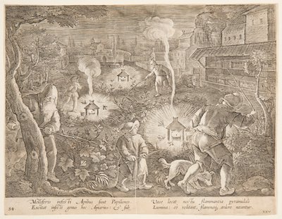Nachtvlinders vangen, plaat 25 uit de serie Venationes Ferarum, Avium, Piscium door Jan van der Straet, called Stradanus