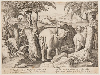 Holbewoners die olifanten achtervolgen, plaat 3 uit de serie Venationes Ferarum, Avium, Piscium door Jan van der Straet, called Stradanus