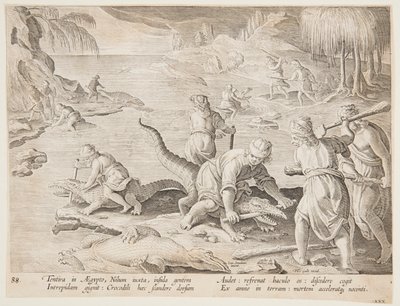 Krokodillenjacht in Tentyra, in Egypte, plaat 30 uit de Venationes Ferarum, Avium, Piscium serie door Jan van der Straet, called Stradanus