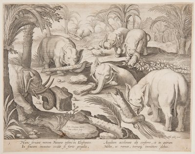 Olifanten Helpen Elkaar uit een Val, plaat 1 uit de Venationes Ferarum, Avium, Piscium serie door Jan van der Straet, called Stradanus