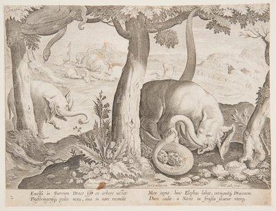 Gevecht tussen Olifanten en Slangen, plaat 2 uit de Venationes Ferarum, Avium, Piscium serie door Jan van der Straet, called Stradanus