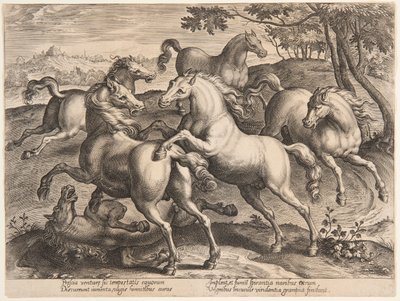 Vechtende Paarden, uit de vierde set van "Equile Joannis Austriaci" door Jan van der Straet, called Stradanus
