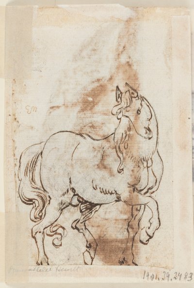 Pagina uit een tekenboek; Studie voor schilderij van St. Magdalen; Een hengst door Jan van der Straet, called Stradanus