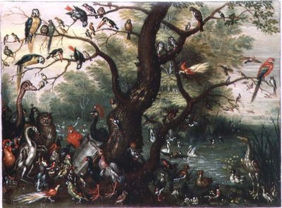 Concert van Vogels door Jan van the Elder Kessel