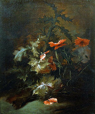 Distels en klaprozen door Jan van the Elder Kessel