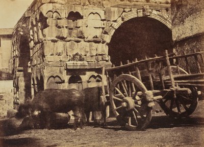 Buffelkar, Rome door Jane Martha St. John