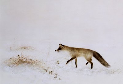 Vos in sneeuw door Jane Neville