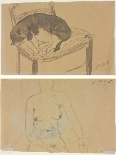 Slapende kat (recto) Torso van een naakte vrouw (verso) door Jane Poupelet