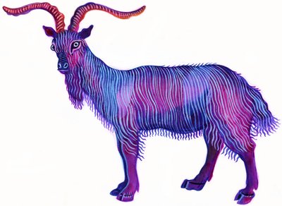 Geit Steenbok door Jane Tattersfield