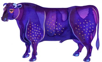 Stier de Stier door Jane Tattersfield