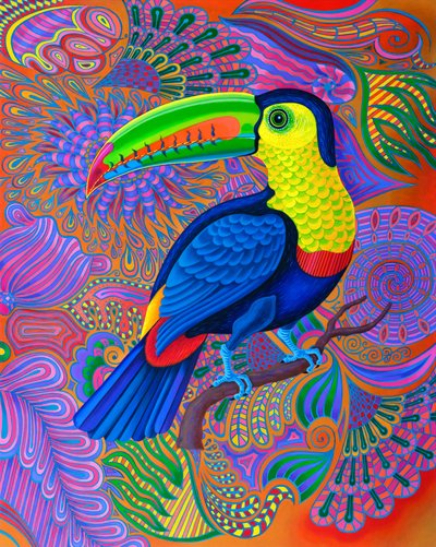 Toekan door Jane Tattersfield