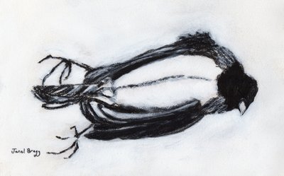 Dode Vogel bij mijn Trap, c.2018 door Janel Bragg