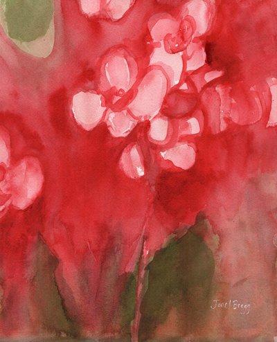 Orchidee in Allzarin Crimson, c.2017 door Janel Bragg