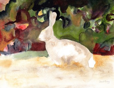 Konijn dat we zagen tijdens onze wandeling, c.2016 door Janel Bragg