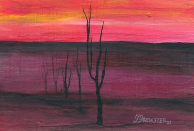  door Janine Brewster