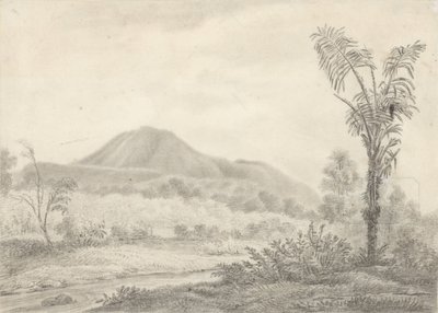 Javaans landschap met berg en palm door Jannes Theodorus Bik