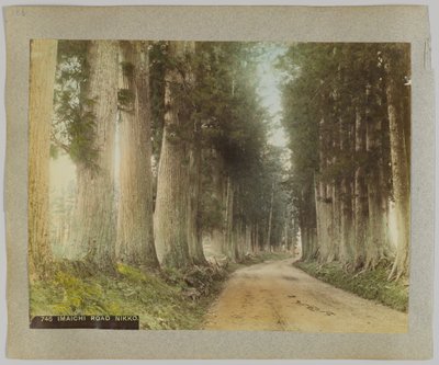 Imaichi-weg, Nikko, Japan (handgekleurde zwart-wit foto) door Japanese Photographer
