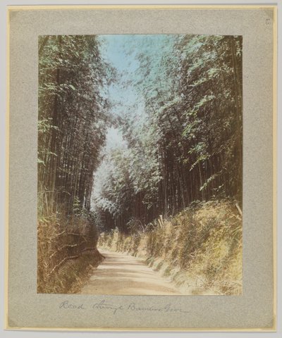 Weg door een bamboebos, Japan door Japanese Photographer