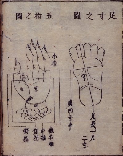 Diagram met acupunctuurpunten in de handen en voeten, uit een Japanse commentaar op een Chinees werk over acupunctuur, de Shisijing fahui van 1341 door Hua Shou, Kyoto door Japanese School