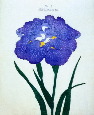 Asa-Zuma-Bune, nr.7, 1898 door Japanese School