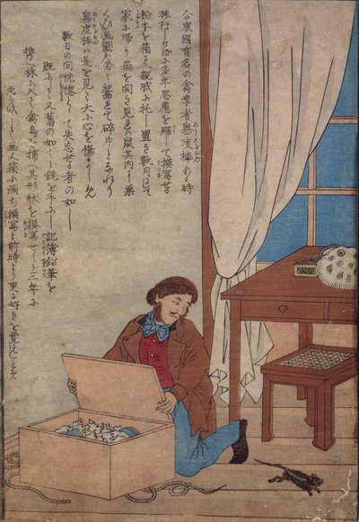 Audubon opent zijn doos met aquarellen vernietigd door Noorse ratten, ca. 1872-77 door Japanese School