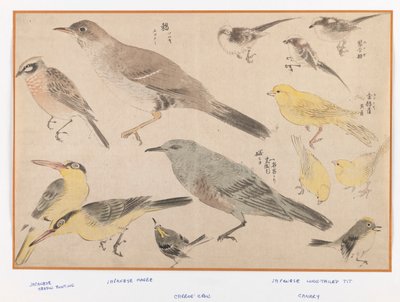 Vogels in Okyo-stijl door Japanese School