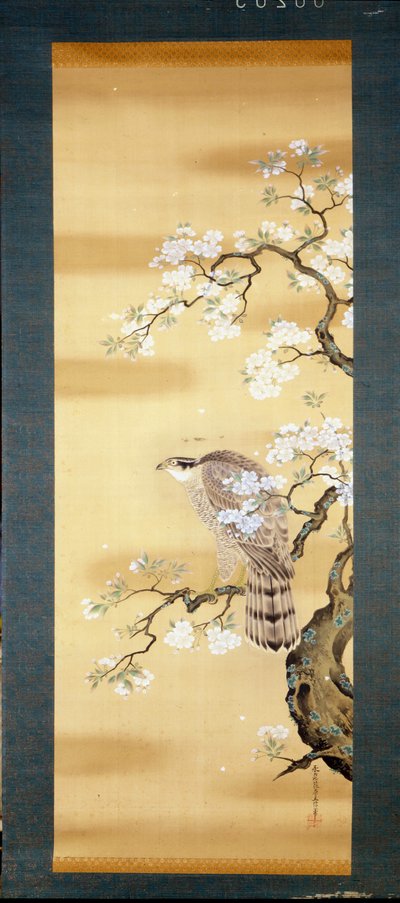 Valk op een tak van Japanse kersenbloesem. Zijdeschilderij uit de 18e eeuw van Japan. Genua. Museo Chiossone. door Japanese School