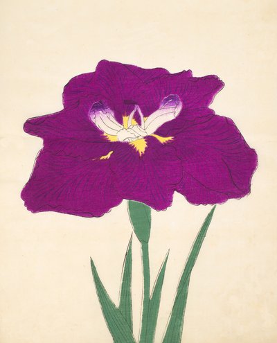 Hizume-no.-Hyoshi, nr.29, 1898 door Japanese School