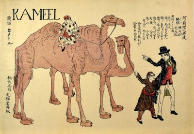 Kameel, uitgegeven 1821 door Japanese School