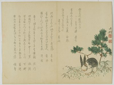 Konijn onder nieuwjaarspijnboom door Japanese School