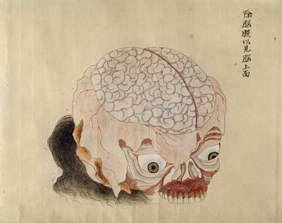 De anatomie van de hersenen uit de dissectie van een martelslachtoffer van 1796, uit een makimono van een Midori-dokter, 1842 door Japanese School