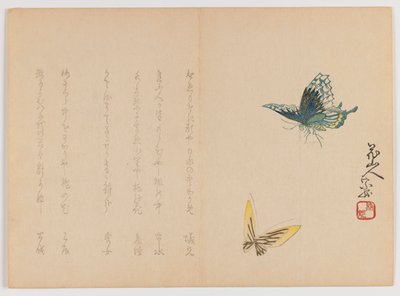 Twee vlinders, c.1860 door Japanese School