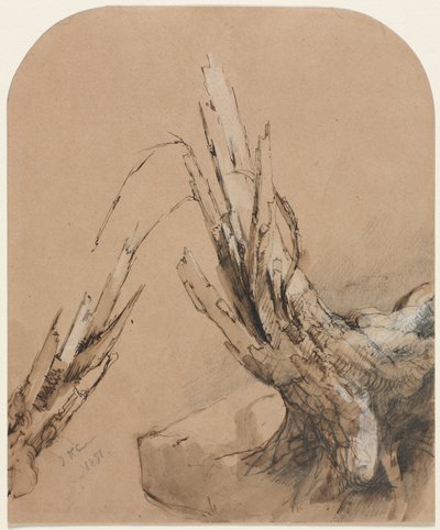 Een Verwoeste Boom (recto) Plattegrond (verso) door Jasper F. Cropsey