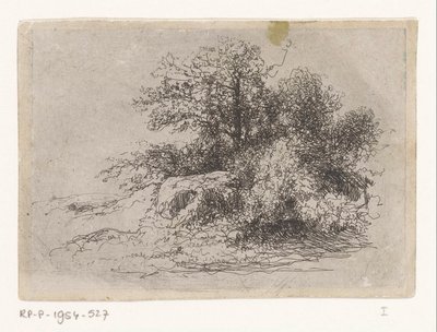 Struikgewas door Jean Alexis Achard