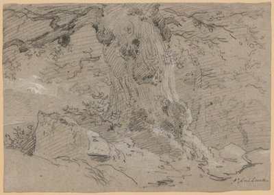 Studie van Oude Boomstam door Jean Antoine Linck